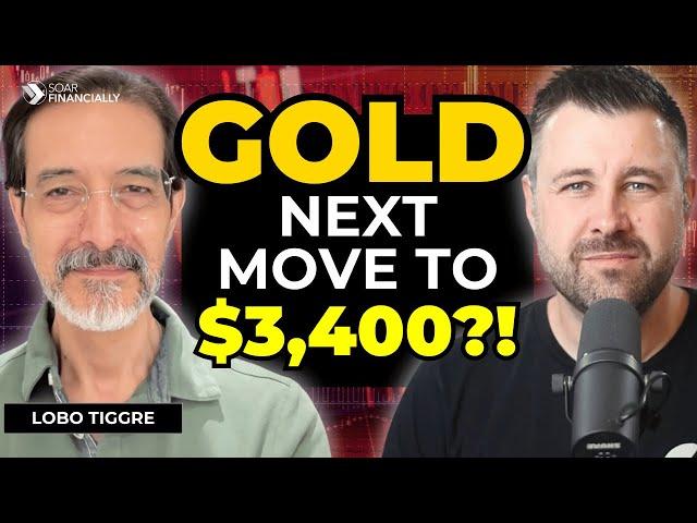 Gold Surging, The FED Is LYING To YOU, Real Estate Impact | LoboTiggre