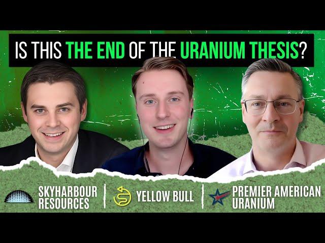 THE Uranium Crash, Cameco's Warning, and 2 Uranium Stocks