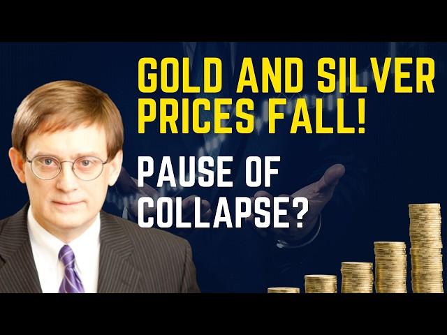 Cover for Why Gold and Silver Prices Will Continue To Go Up: The Real Reasons Behind The Pullback