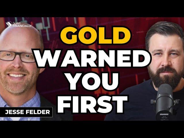 The AI Bubble Is Cracking: GOLD Is Warning YOU! | Jesse Felder