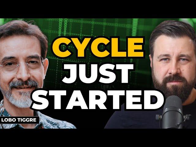 Cover for Not Just Gold: Why ALL Commodities Are Moving Together | Lobo Tiggre