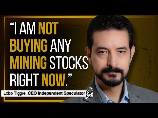 Why Lobo Tiggre is Not Buying Gold & Silver Stocks Right Now